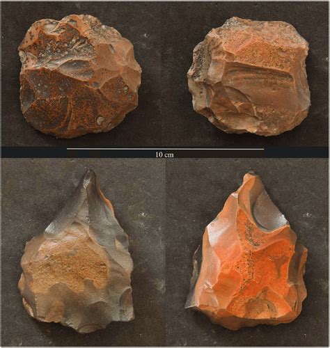 Example of Levallois cores from L20. Two examples of Levallois cores ...