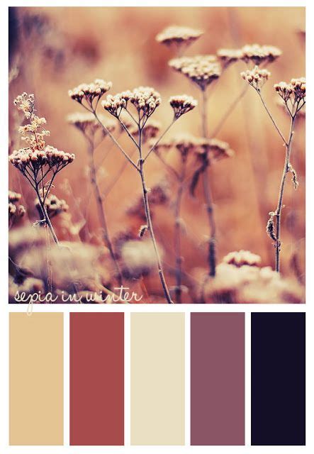 #sepia #color | Sepia color, Color schemes, Color palette