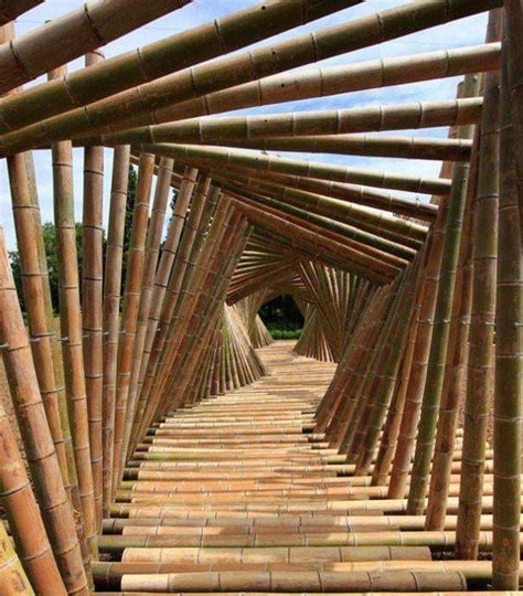 Bamboo tunnel - 9GAG