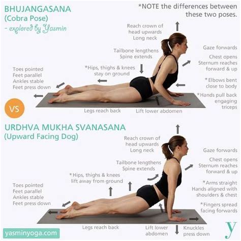 Cobra pose mistakes to fix Yoga Bewegungen, Yoga Moves, Yoga Flow, Yoga Exercises, Vinyasa Yoga ...