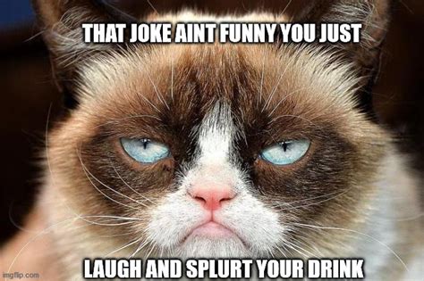 Grumpy Cat Not Amused Meme - Imgflip