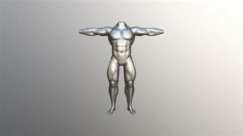 Practice Muscular Man Anatomy Study - Download Free 3D model by AaronJOlson (@aaolson817 ...