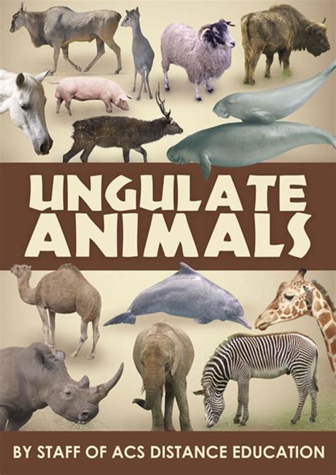 Ungulate Animals ebook