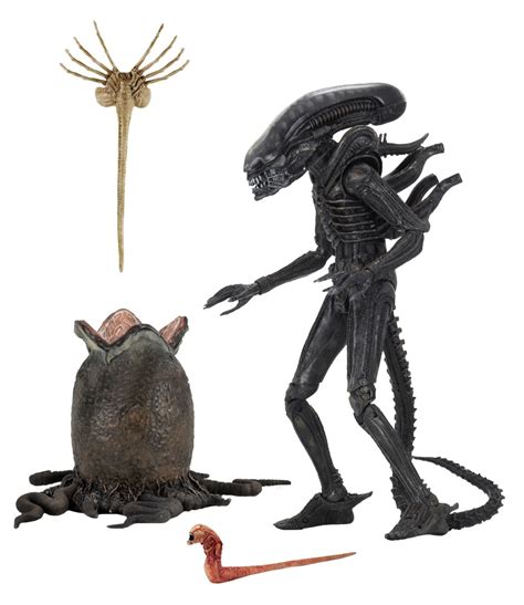 Xenomorph (Big Chap) - 7″ Ultimate Figure | at Mighty Ape NZ