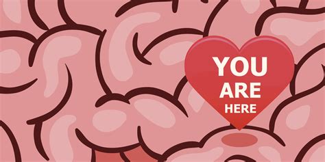 4 Things Neuroscience Can Teach Us About Love | HuffPost