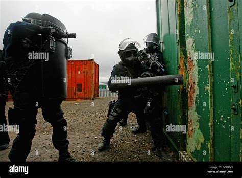 Irish Army Ranger Wing 30th anniversary Stock Photo: 110939111 - Alamy