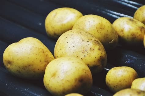 Free Images : fruit, food, produce, washing, tubers, potatoes, a vegetable, root vegetable ...