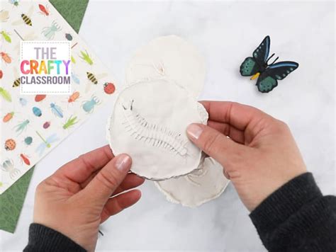 Fossil Craft - The Crafty Classroom