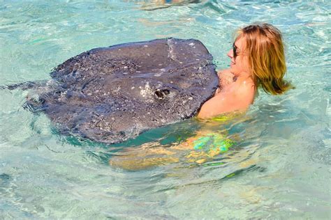 Grand Cayman | Stingray City Tour | Katie's Bliss