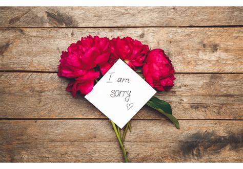 6 Best Apology Flowers to Say “I Am Sorry I Messed Up” - Flower ...