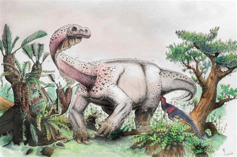 Newly named dinosaur species named largest land animal of its time ...