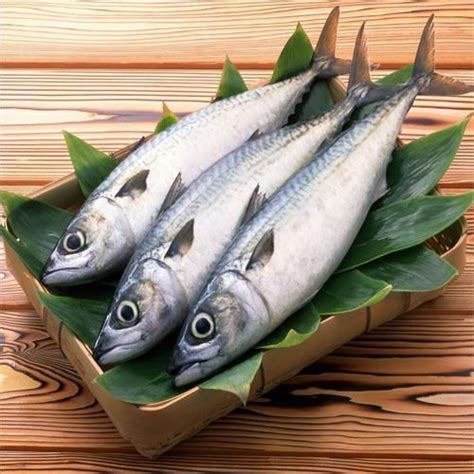 Fresh Salmon Fish at Best Price in Kolkata, West Bengal | Rj Import ...