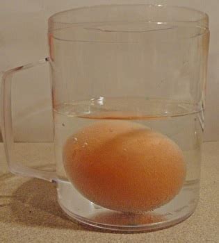 Egg And Soda Science Fair Experiment - slideshare