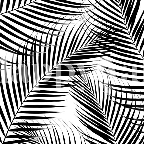 Palm Leaves Black White 1 Wallpaper in 2021 | Leaves black and white, 1 wallpaper, Black and white