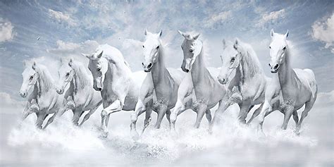 Seven Horses Wallpapers - Top Free Seven Horses Backgrounds - WallpaperAccess