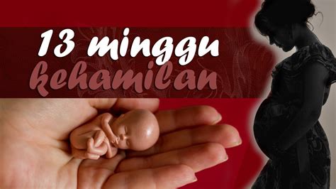 usia kehamilan 13 minggu (hamil 3 bulan) - YouTube