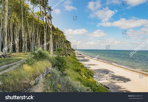 Beach Baltic Sea Stock Photo (Edit Now) 607859777