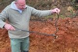 Researchers discover new species of Amazon anaconda, the world's largest snake - ABC News