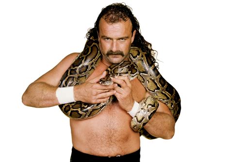 Jake "The Snake" Roberts | WWE