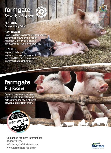 Practical Pigs Magazine - Summer 2017 Subscriptions | Pocketmags