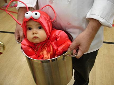 Baby lobster costume