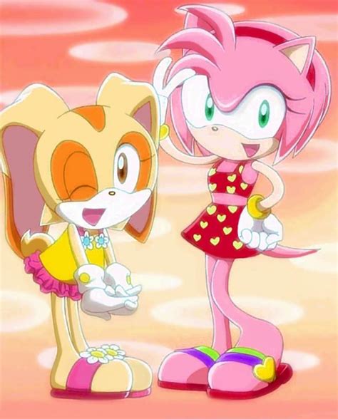 Cream and Amy Rose | Sonic the Hedgehog! Amino