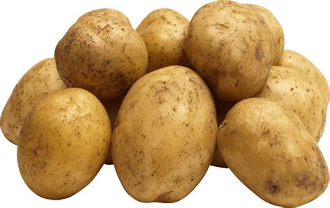 Potato Png Images Transparent HQ PNG Download | FreePNGimg