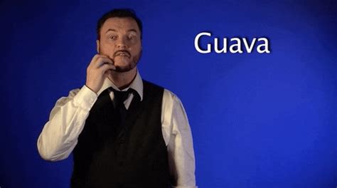 Guava GIFs - Find & Share on GIPHY