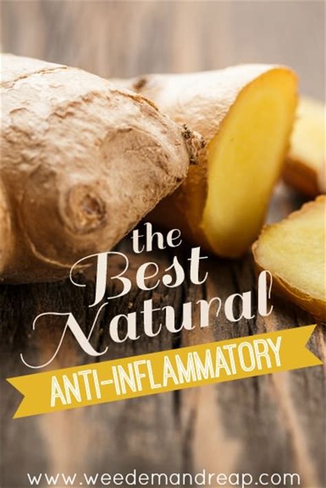 The BEST Natural Anti-Inflammatory - Weed 'em & Reap