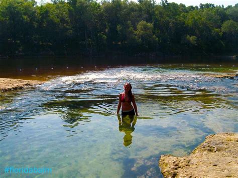 Suwannee River Paddling | Places to go, River, Beach camping