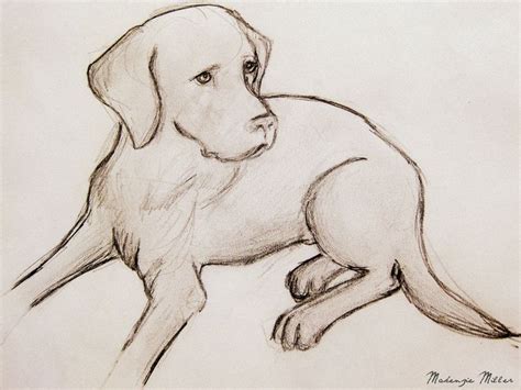 Dog drawing, Dog sketch, Animal drawings