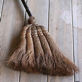 TAKETORA: Broom Palm's long-lasting 20 years. Perfect for hardwood floors indoor broom Palm ...
