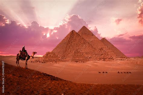 pyramid giza egypt sunset phantasy with camels and bedouin Stock Photo | Adobe Stock