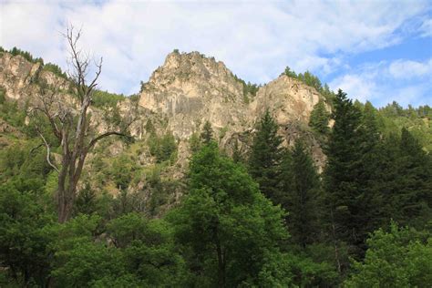 Logan Canyon Scenic Drive | Adventures of a Couchsurfer