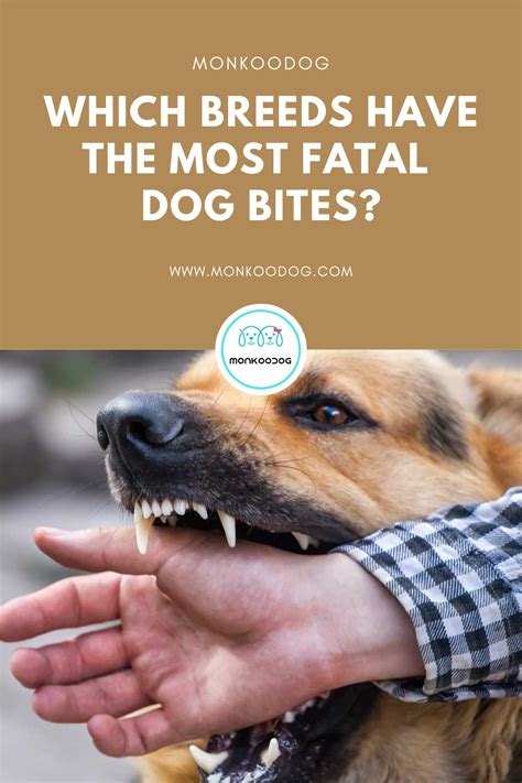 Top 7 dog breeds with most fatal dog bites – Artofit