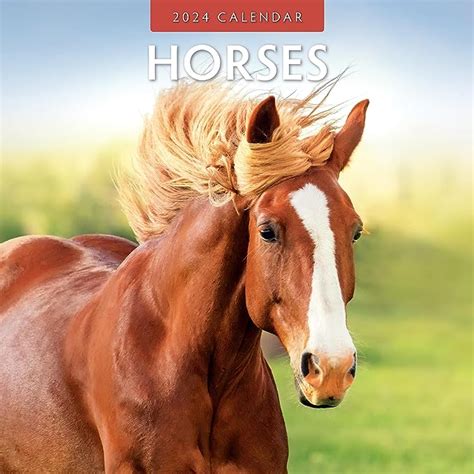 Horses Calendar 2024 - The Calendar and Gift Company