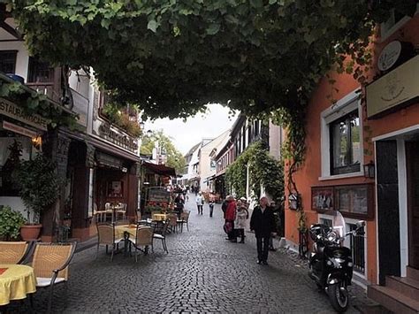 Rudesheim,Germany...... | European river cruises, Rudesheim germany ...