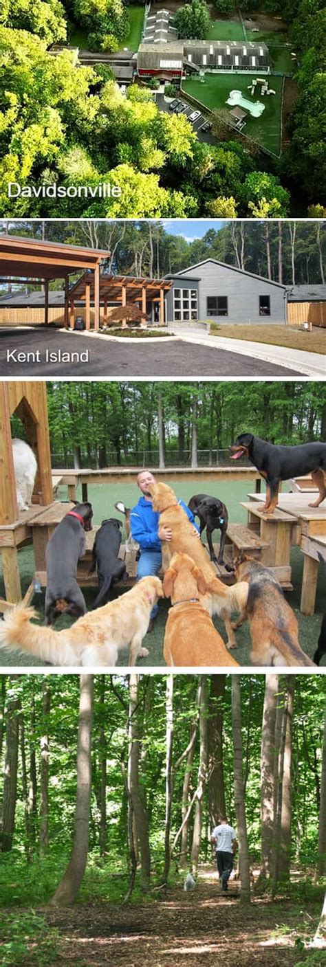 Pet Boarding Reservation Request | Dogwood Acres Pet Retreat