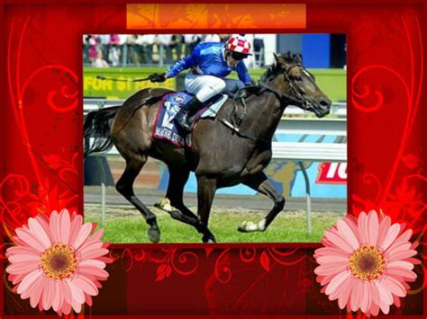 Makybe Diva - Melbourne Cup Fan Art (36009815) - Fanpop