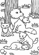 Free & Easy To Print Fox Coloring Pages  Tulamama sketch template