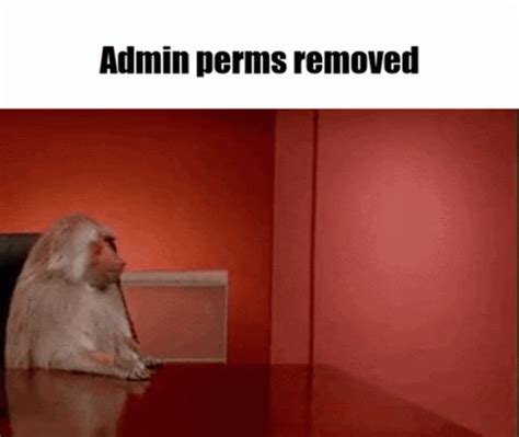 Admin Perms Removed Discord GIF - Admin Perms Removed Admin Discord ...