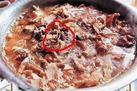 “Boiled Alive Cat” Prepared, Served In Guangzhou Restaurants – chinaSMACK