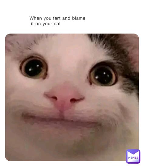 When you fart and blame it on your cat | @BryStorm | Memes