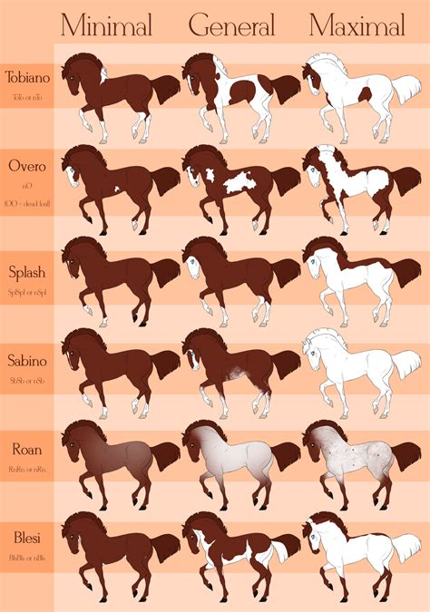 Beaurever white patterns by Wouv Cute Horses, Pretty Horses, Beautiful Horses, Animals Beautiful ...