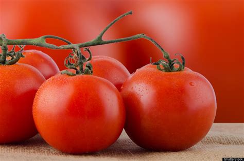 Lung Cancer: The Leading Cause Of Cancer Death | Master Tomato
