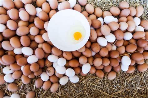 Not All Organic Eggs Are Created Equal--Best & Worst Egg Brands