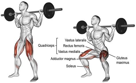 Agachamento: A posição dos pés faz diferença no resultado? | Blog do Personal Trainer Eduardo Araújo