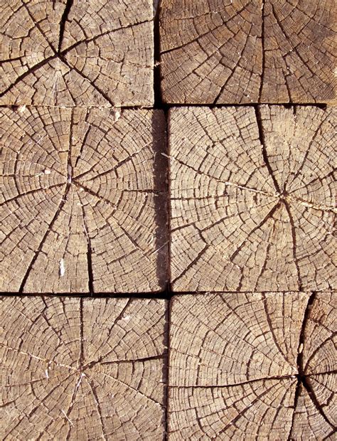 Free Images : tree, stump, beam, veins, splitting, dry, on each other, building, operations ...