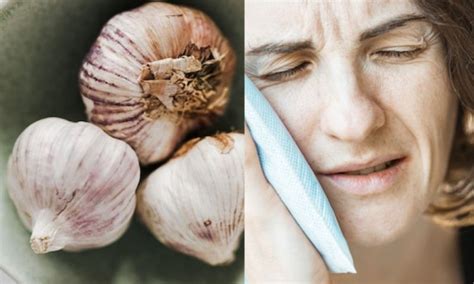 Benefits Of Garlic Paste For Toothache | Tooth Pain Remedies