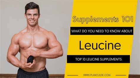 Best Leucine Supplements: Top 10 Leucine Brands Reviewed